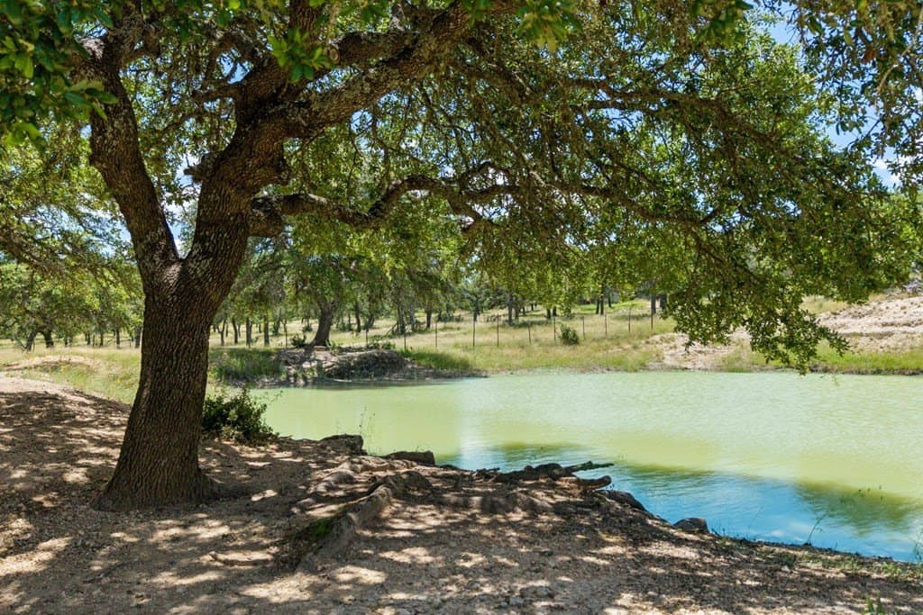 18.87 acres in Blanco County - photo 4