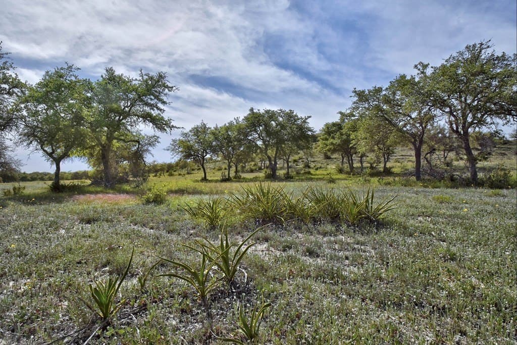 18.87 acres in Blanco County - photo 10