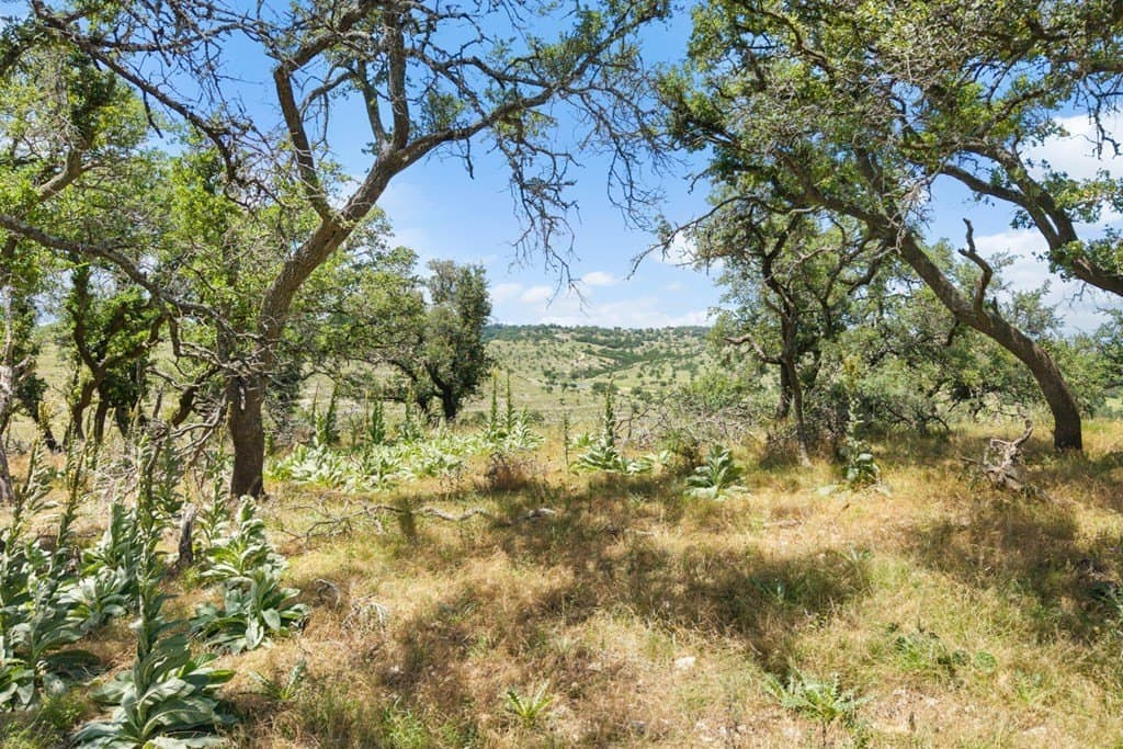 18.87 acres in Blanco County - photo 23