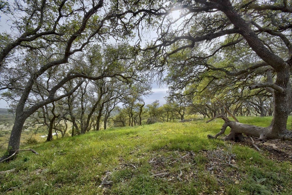 18.87 acres in Blanco County - photo 9