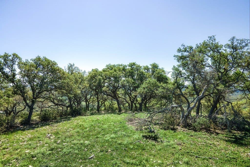 18.87 acres in Blanco County - photo 46