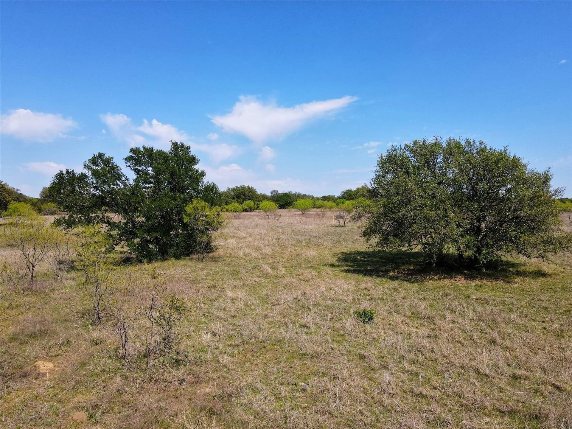 5 acres in Palo Pinto County gallery image 4