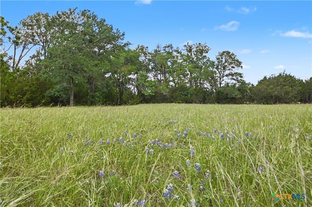 509 acres in Mills County - photo 42