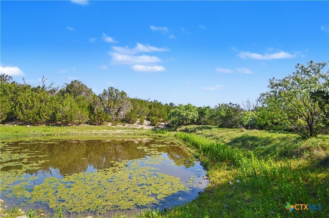 509 acres in Mills County gallery image 4