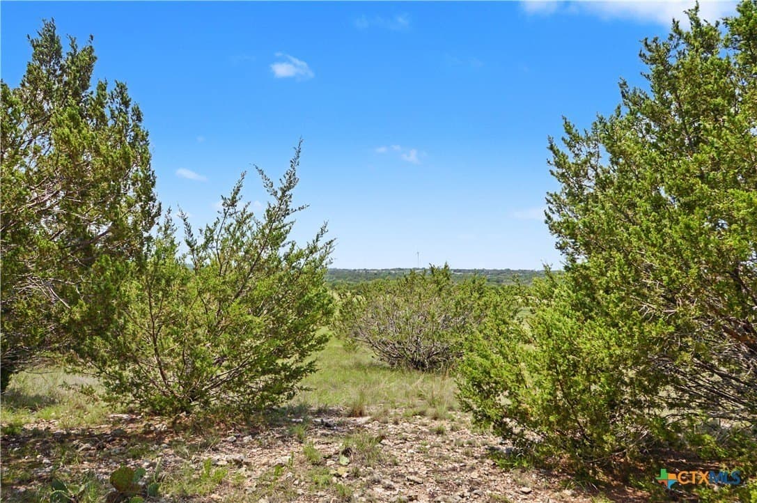 509 acres in Mills County - photo 32