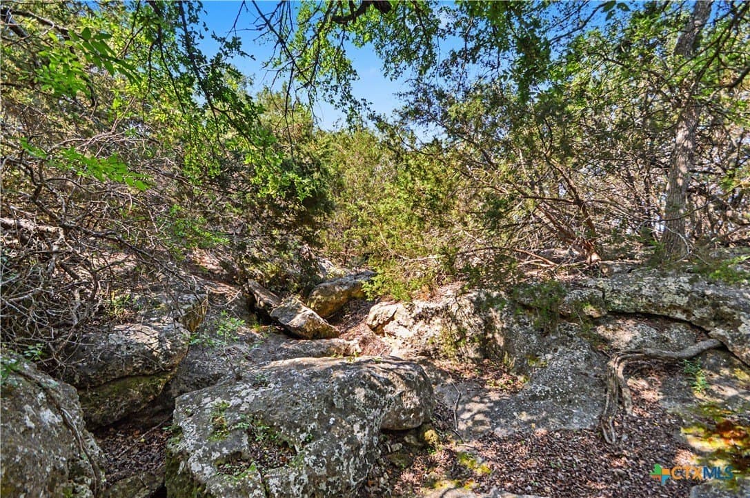509 acres in Mills County - photo 8