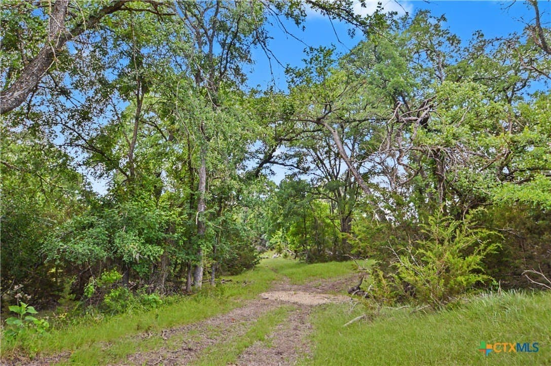 509 acres in Mills County - photo 43