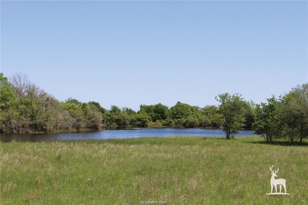 0.5 acres in Brazos County gallery image 2