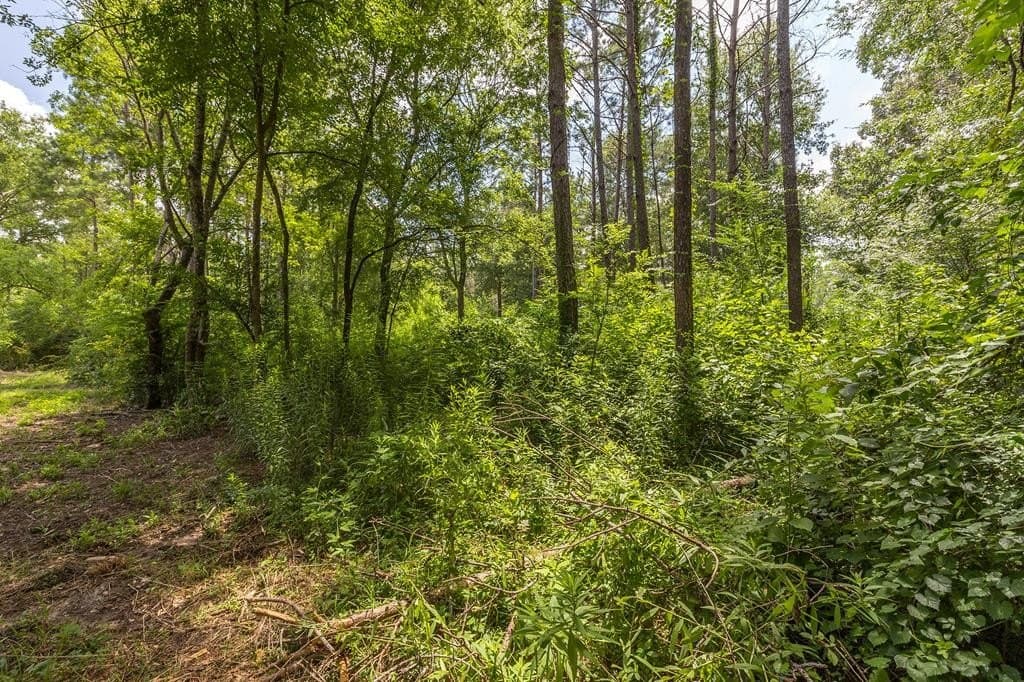 1.14 acres in Texas County gallery image 2