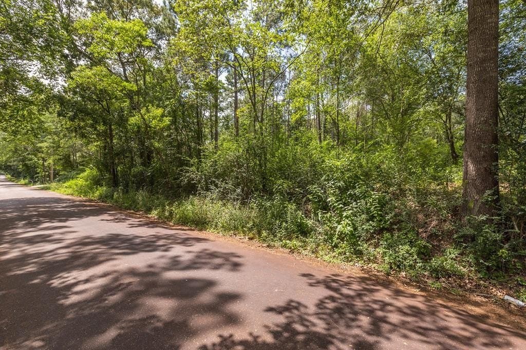 1.14 acres in Texas County