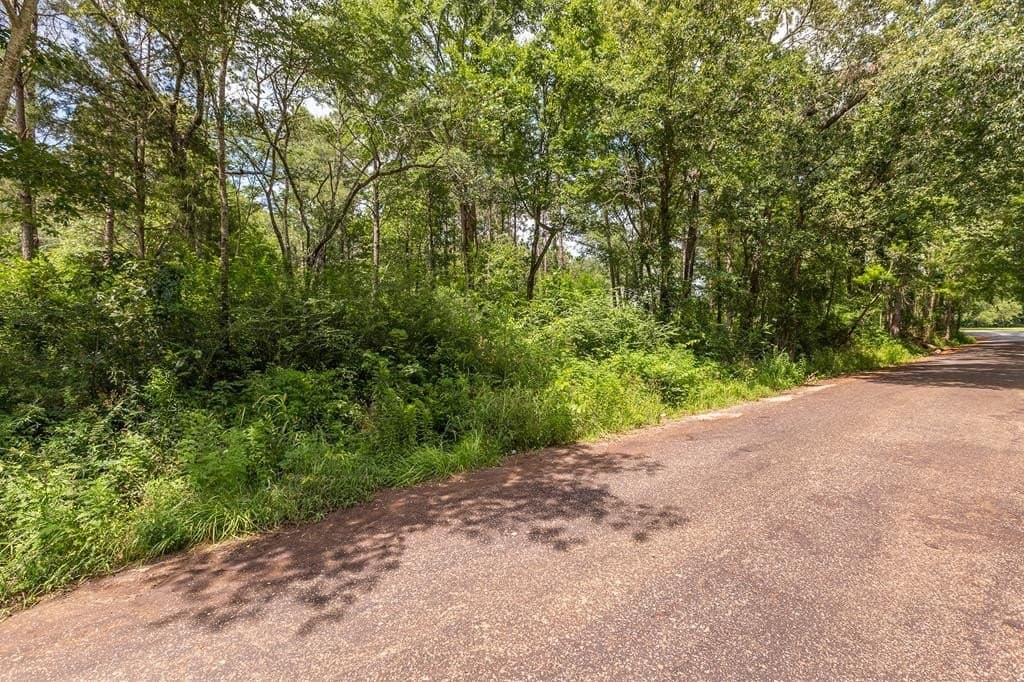 1.14 acres in Texas County gallery image 4