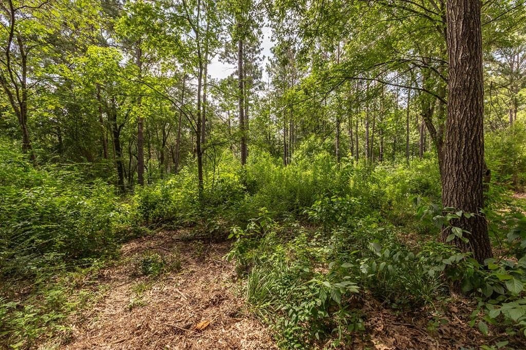 1.14 acres in Texas County gallery image 3
