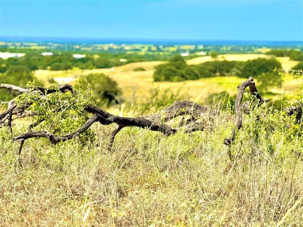 20 acres in Mills County