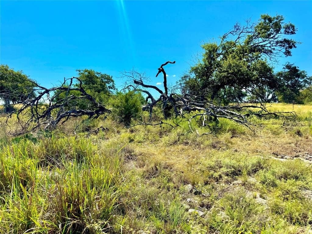 20 acres in Mills County featured view