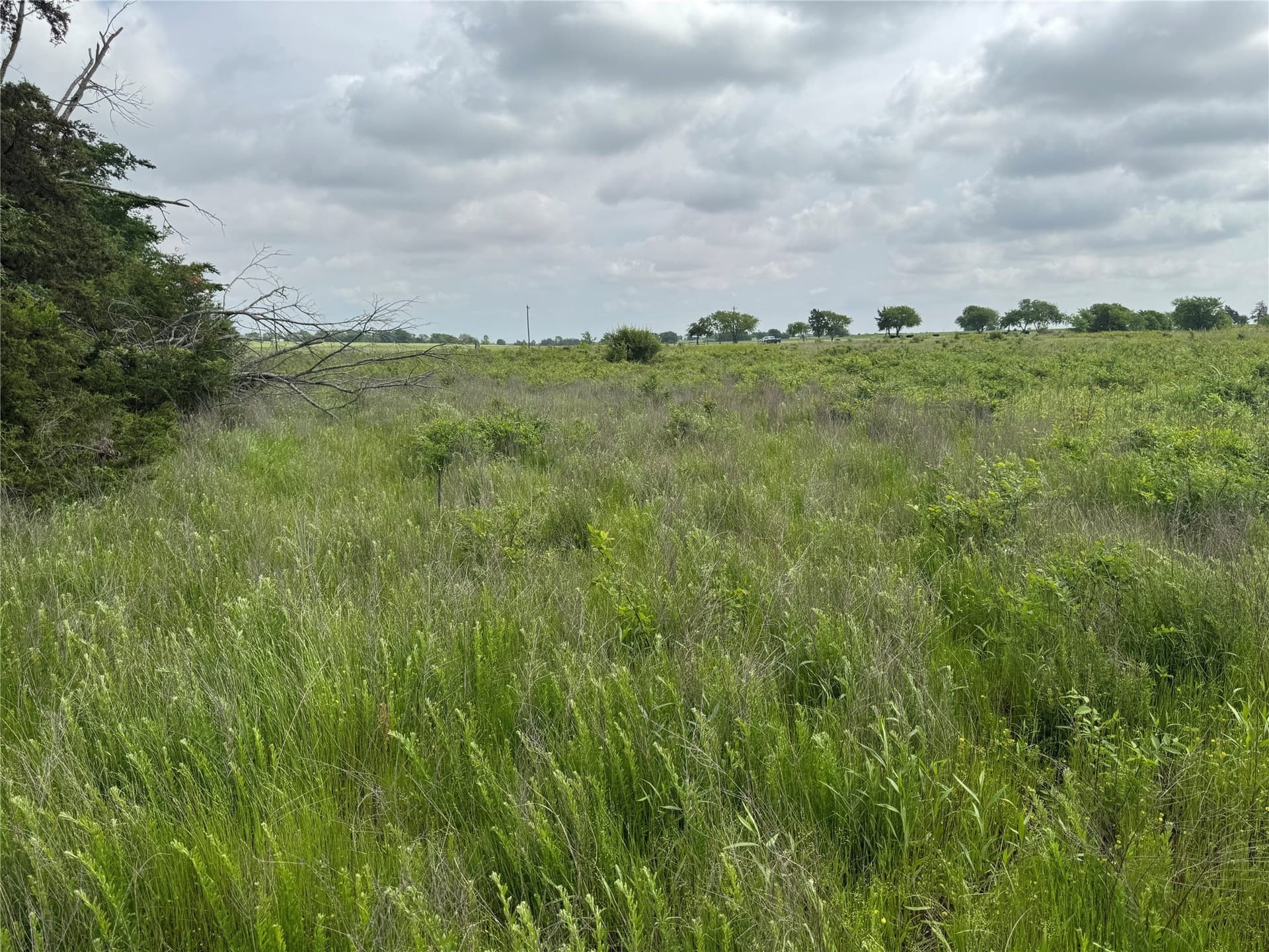 2.82 acres in Grayson County - photo 4