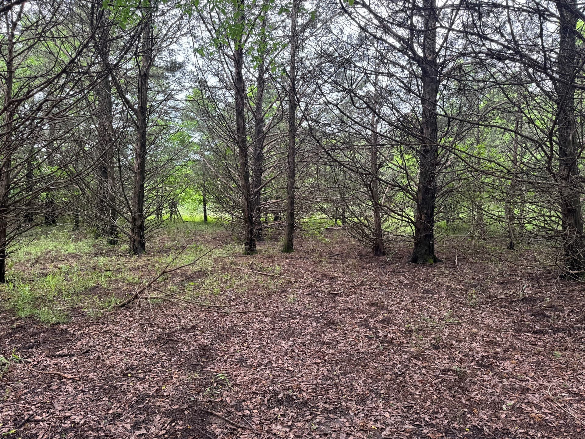 2.82 acres in Grayson County - photo 5
