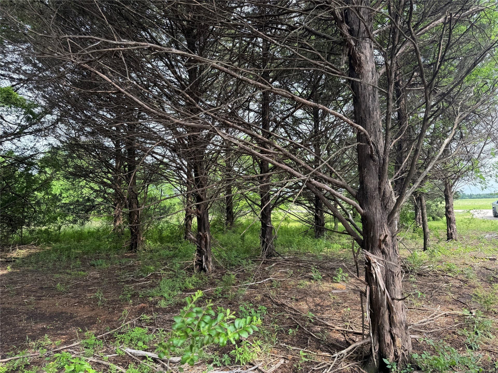 2.82 acres in Grayson County - photo 7