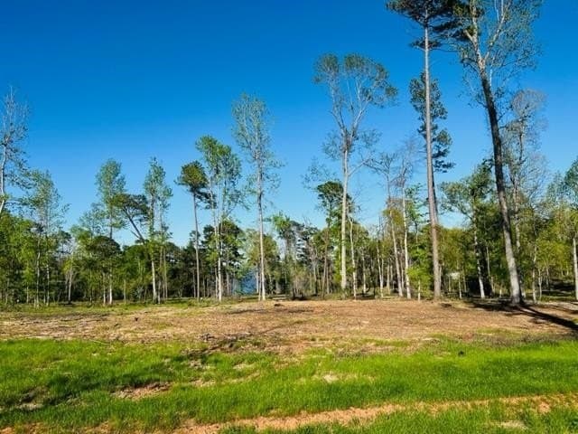 2.05 acres in Texas County gallery image 2