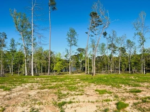 2.05 acres in Texas County gallery image 3