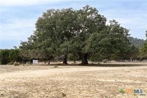 10 acres in Bell County gallery image 3