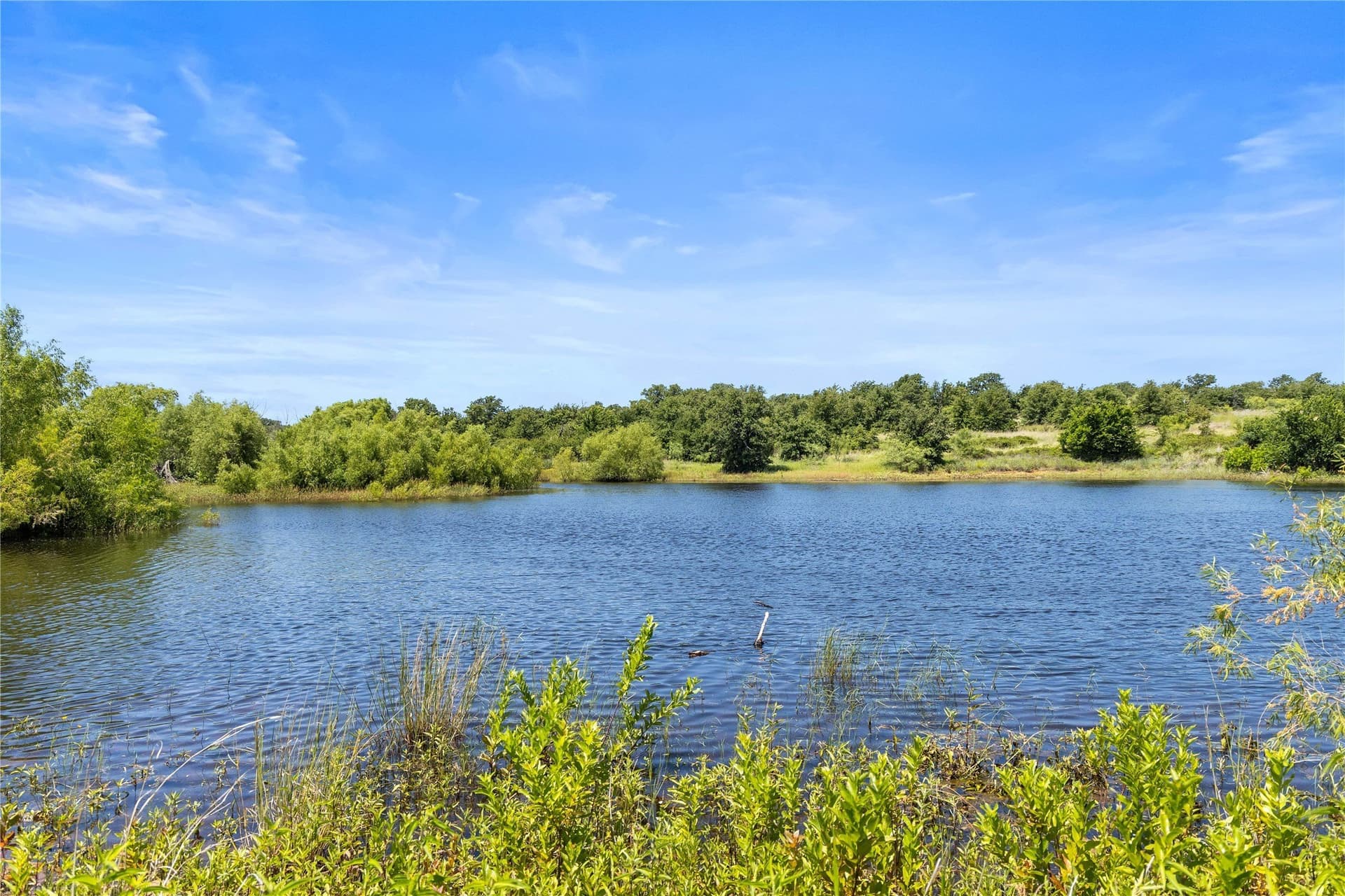331 acres in Jack County gallery image 2