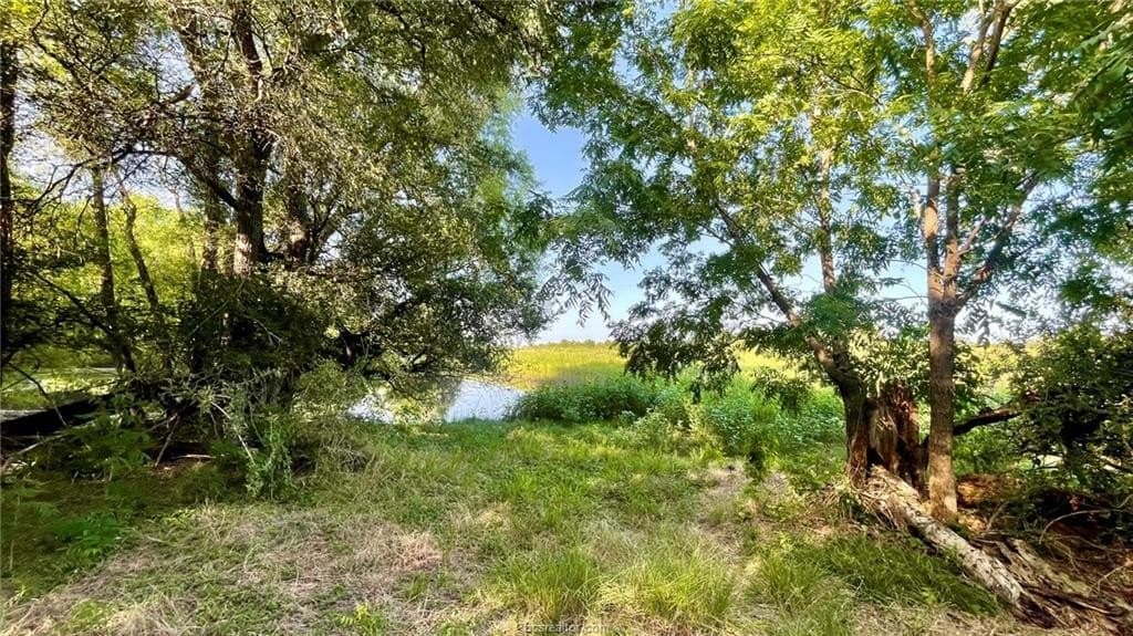 15.5 acres in Milam County - photo 23