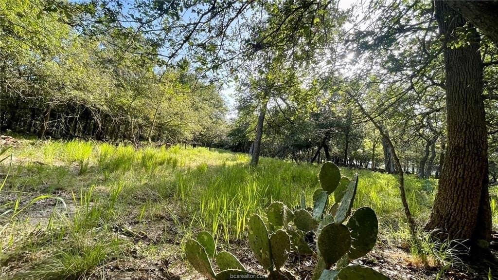 15.5 acres in Milam County - photo 26