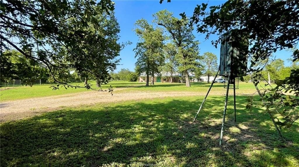 15.5 acres in Milam County - photo 19