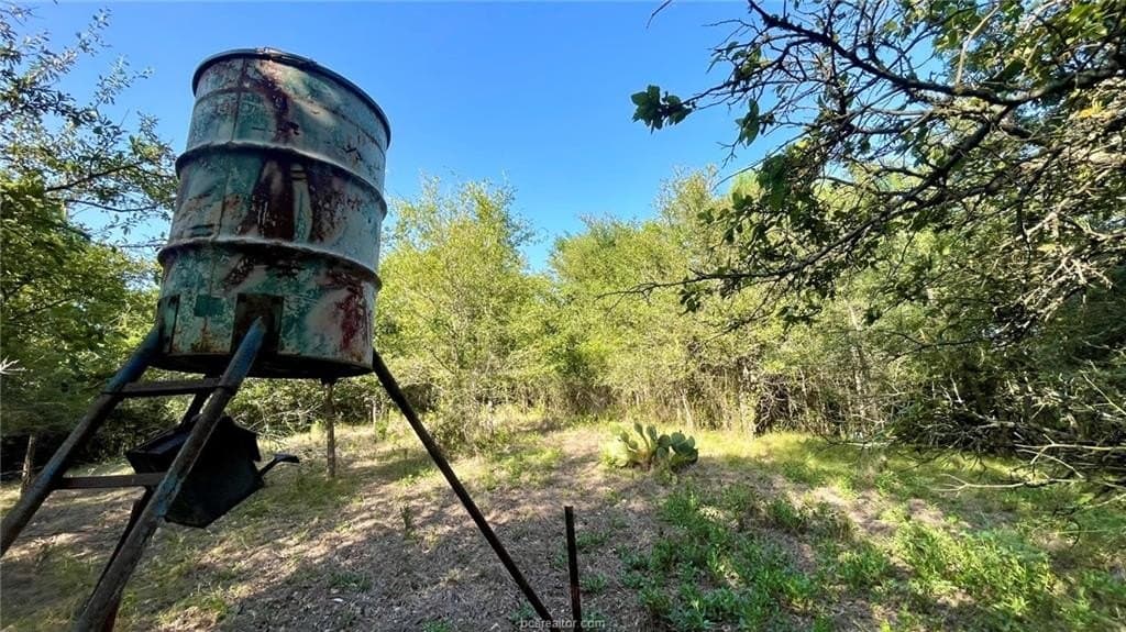15.5 acres in Milam County - photo 21