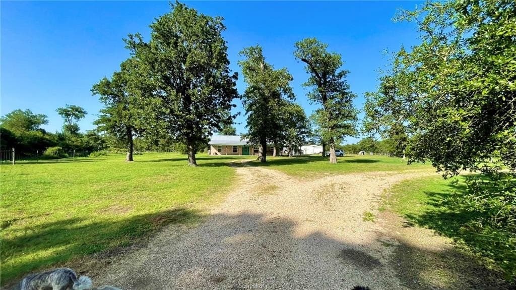 15.5 acres in Milam County - photo 2