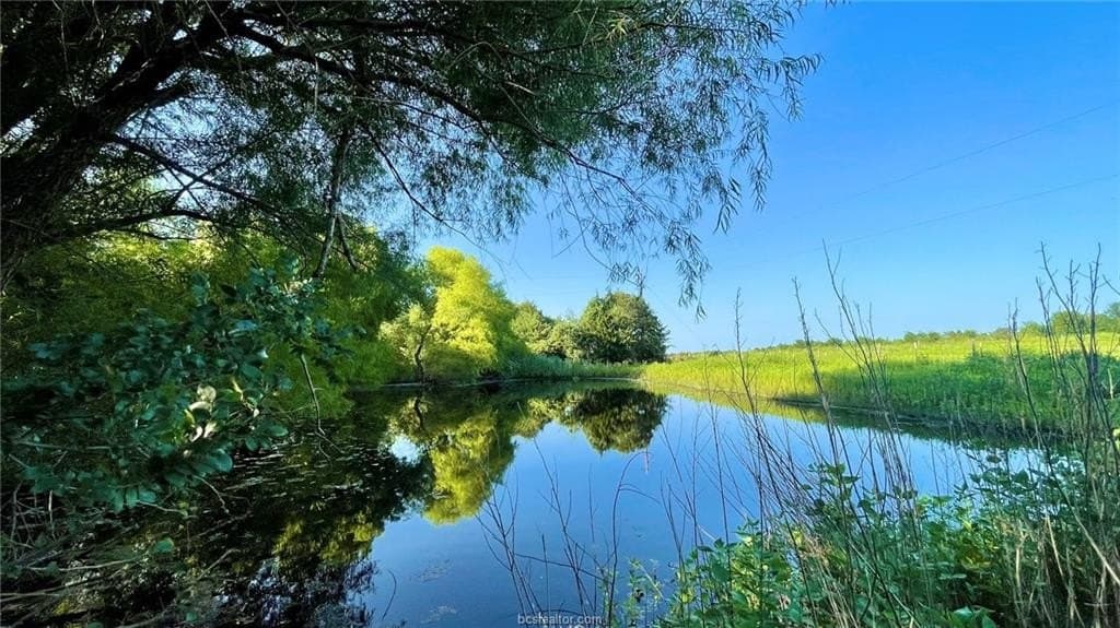 15.5 acres in Milam County - photo 24