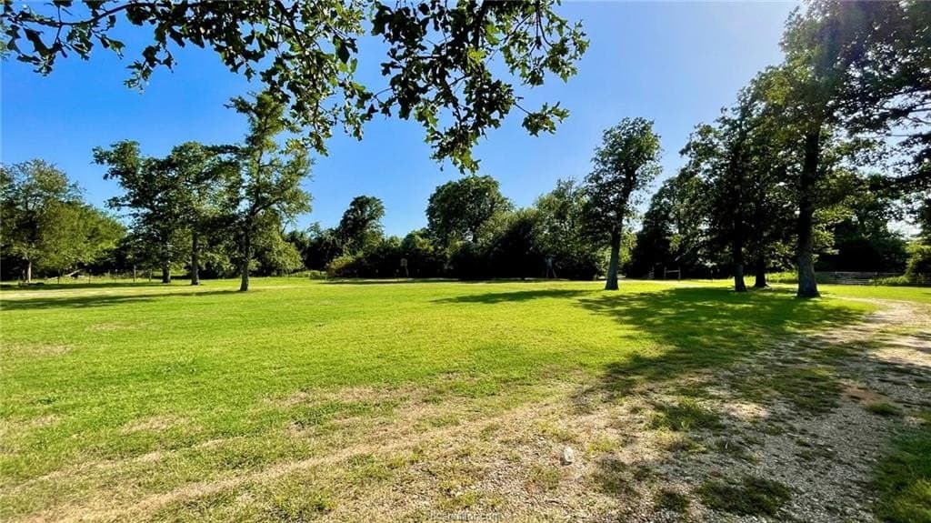 15.5 acres in Milam County - photo 15