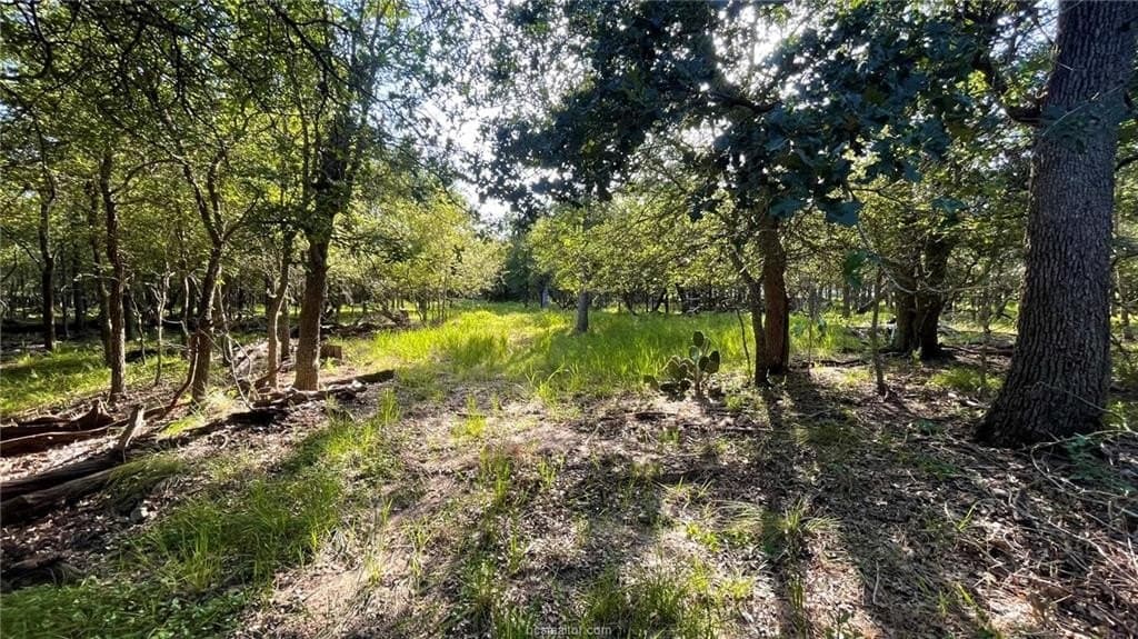 15.5 acres in Milam County - photo 25