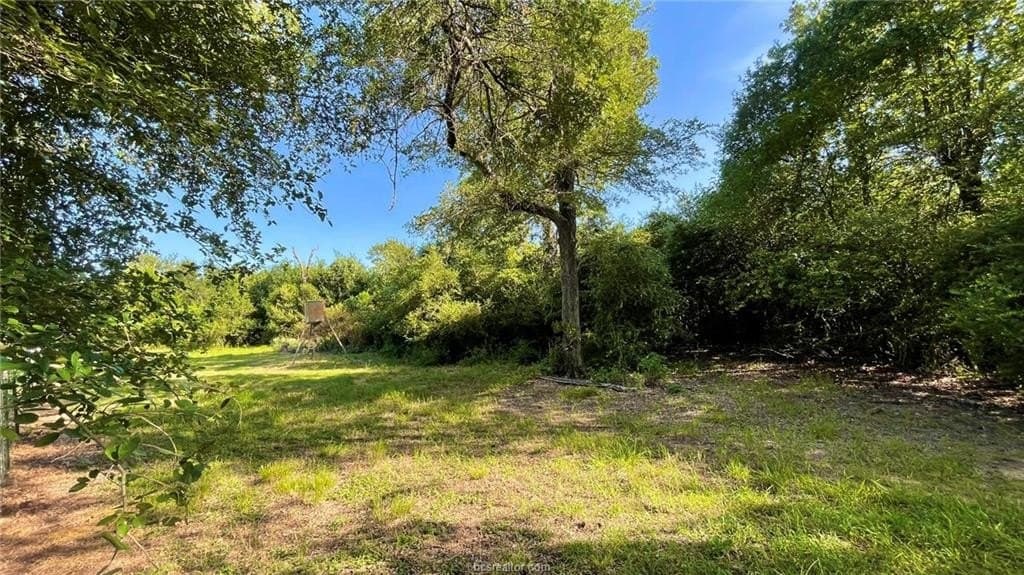 15.5 acres in Milam County - photo 18