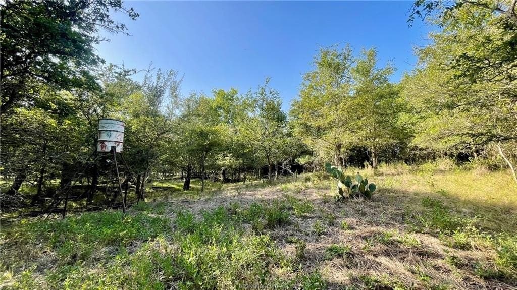 15.5 acres in Milam County - photo 27