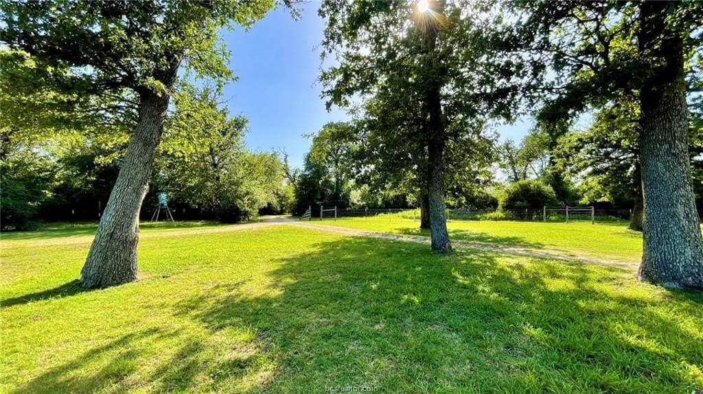 15.5 acres in Milam County - photo 14