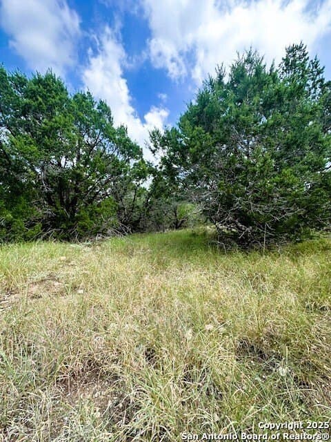 1.53 acres in Comal County - photo 7