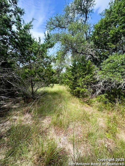 1.53 acres in Comal County - photo 11