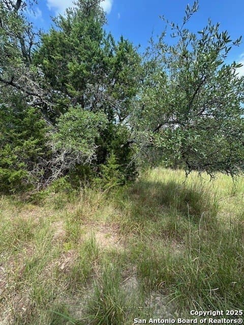 1.53 acres in Comal County - photo 10