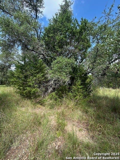 1.53 acres in Comal County - photo 9
