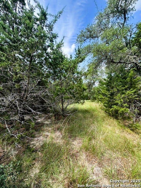 1.53 acres in Comal County - photo 12