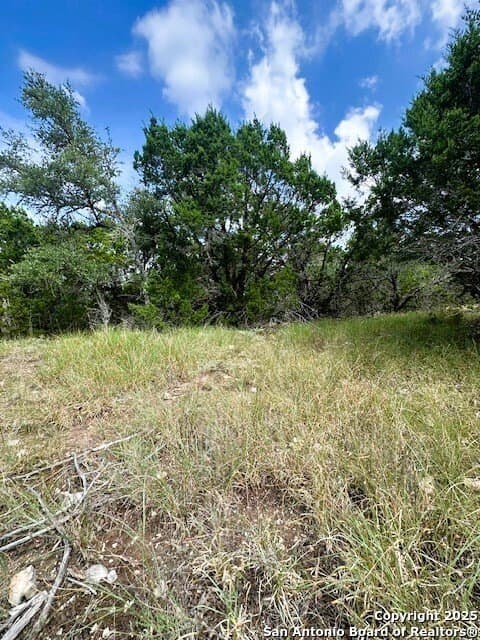 1.53 acres in Comal County - photo 8