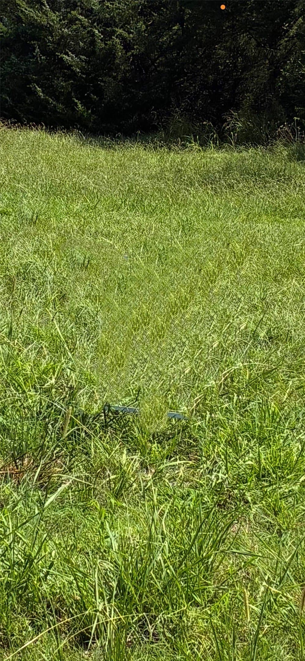 0.16 acres in Hunt County - photo 3