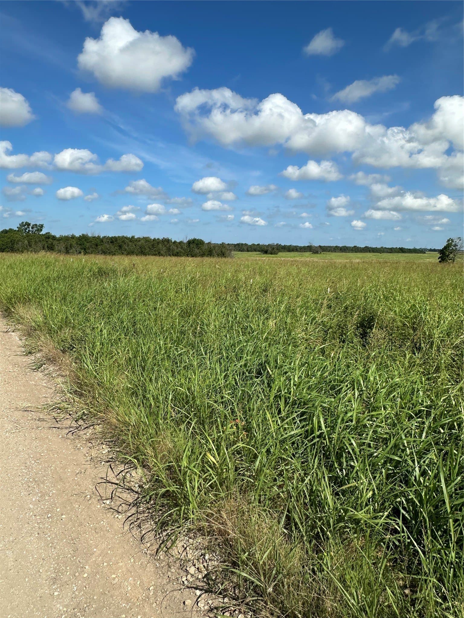 347.56 acres in Fannin County - photo 5