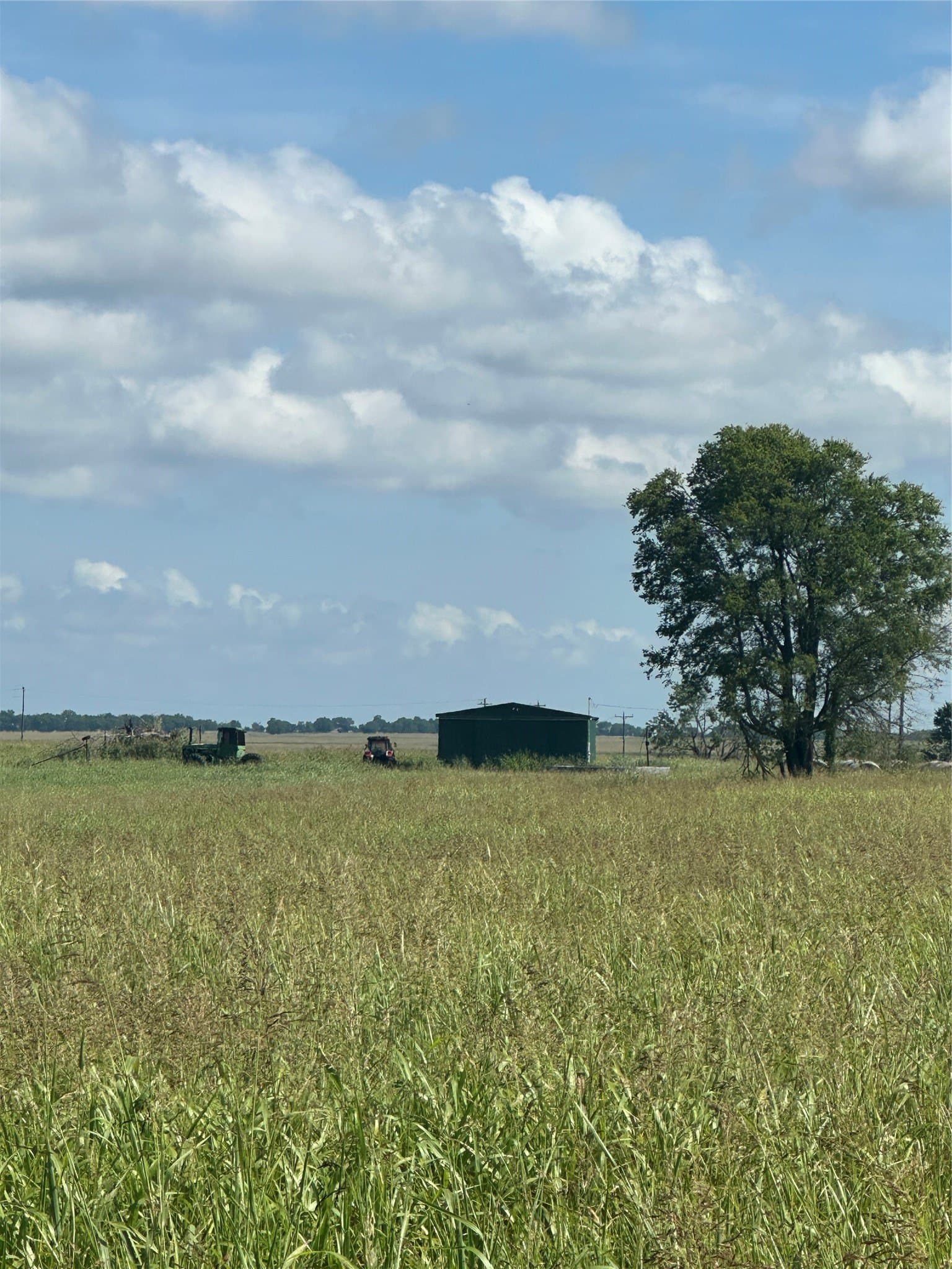 347.56 acres in Fannin County