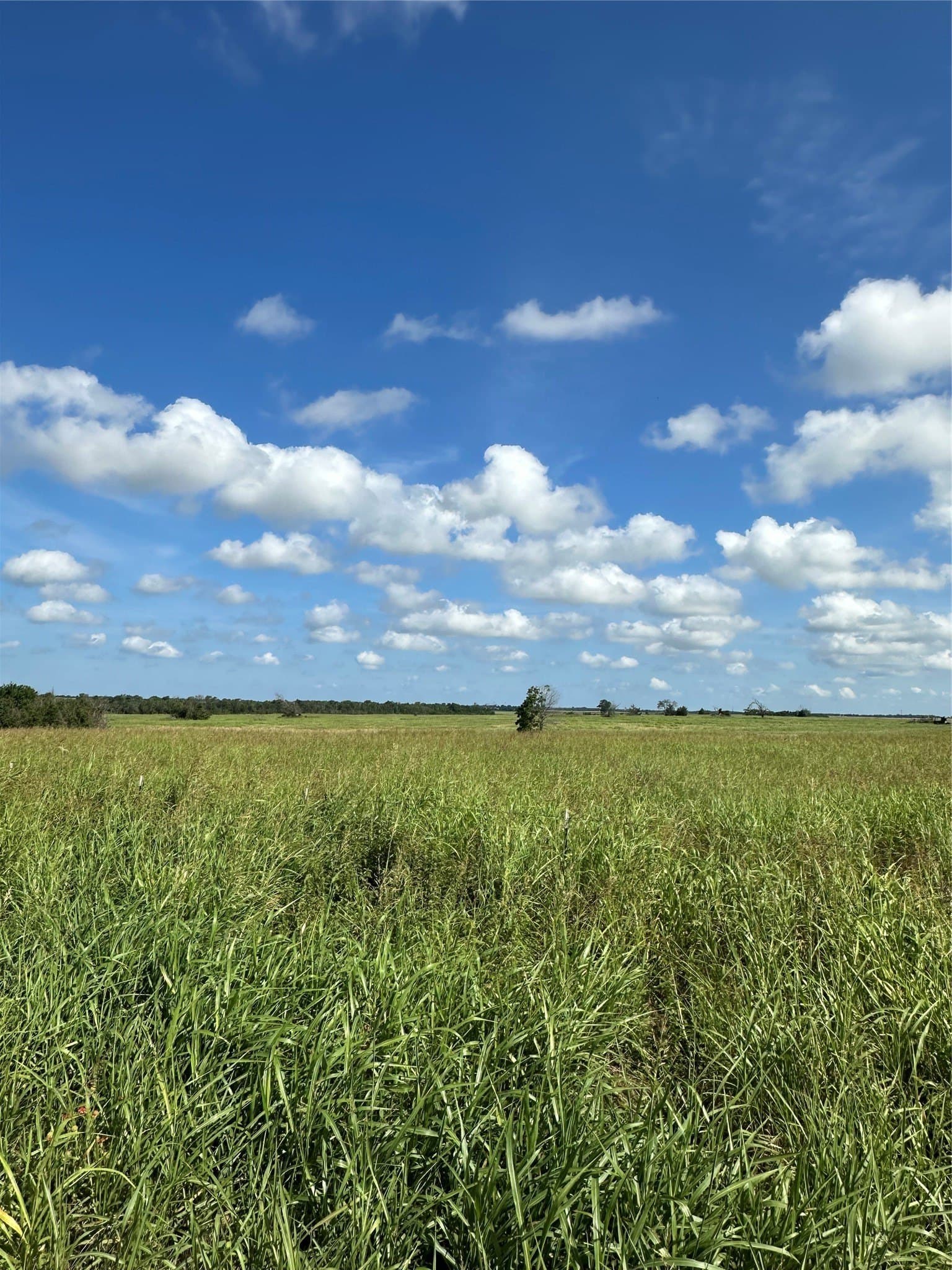 347.56 acres in Fannin County - photo 2