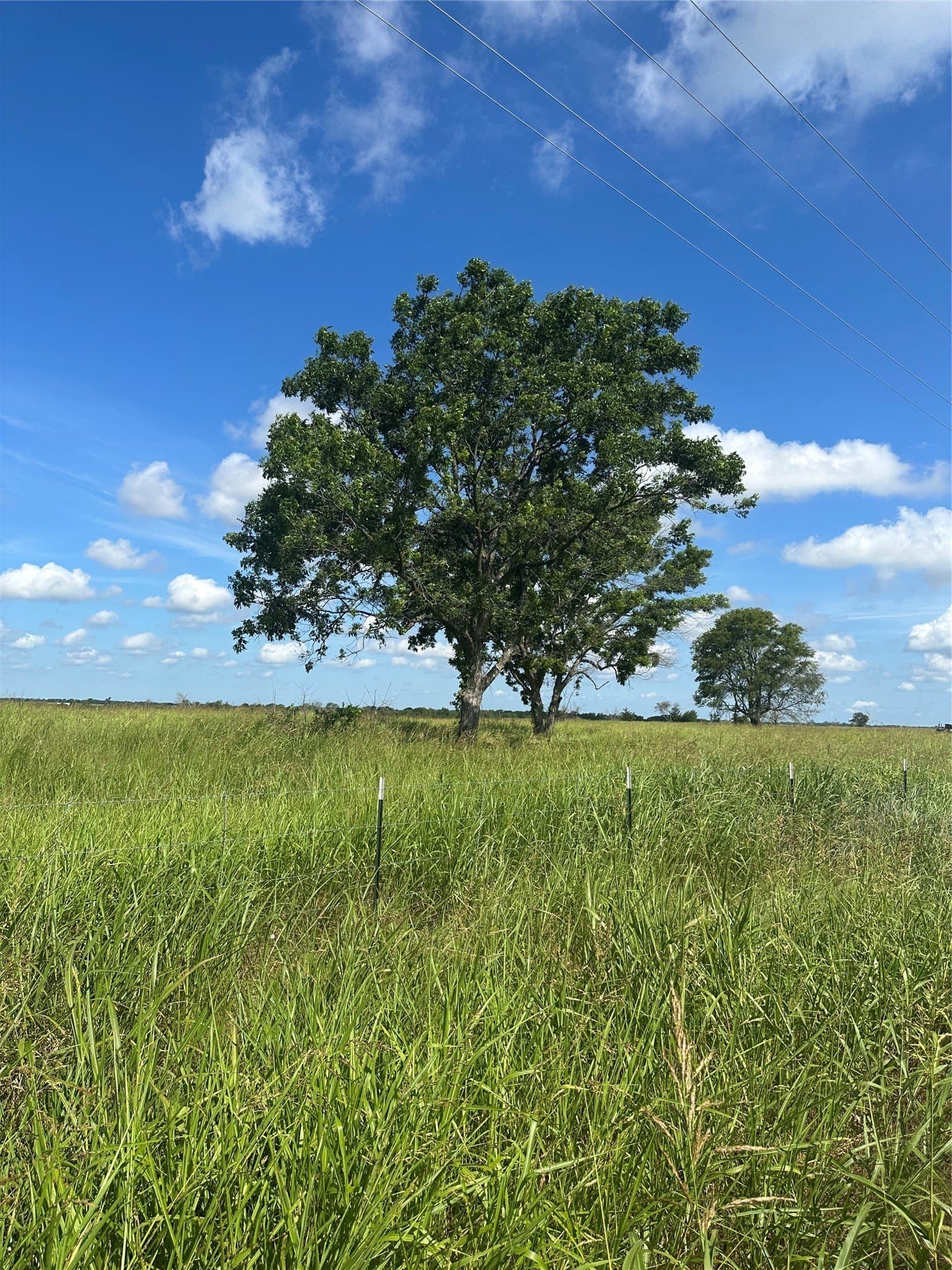347.56 acres in Fannin County - photo 4