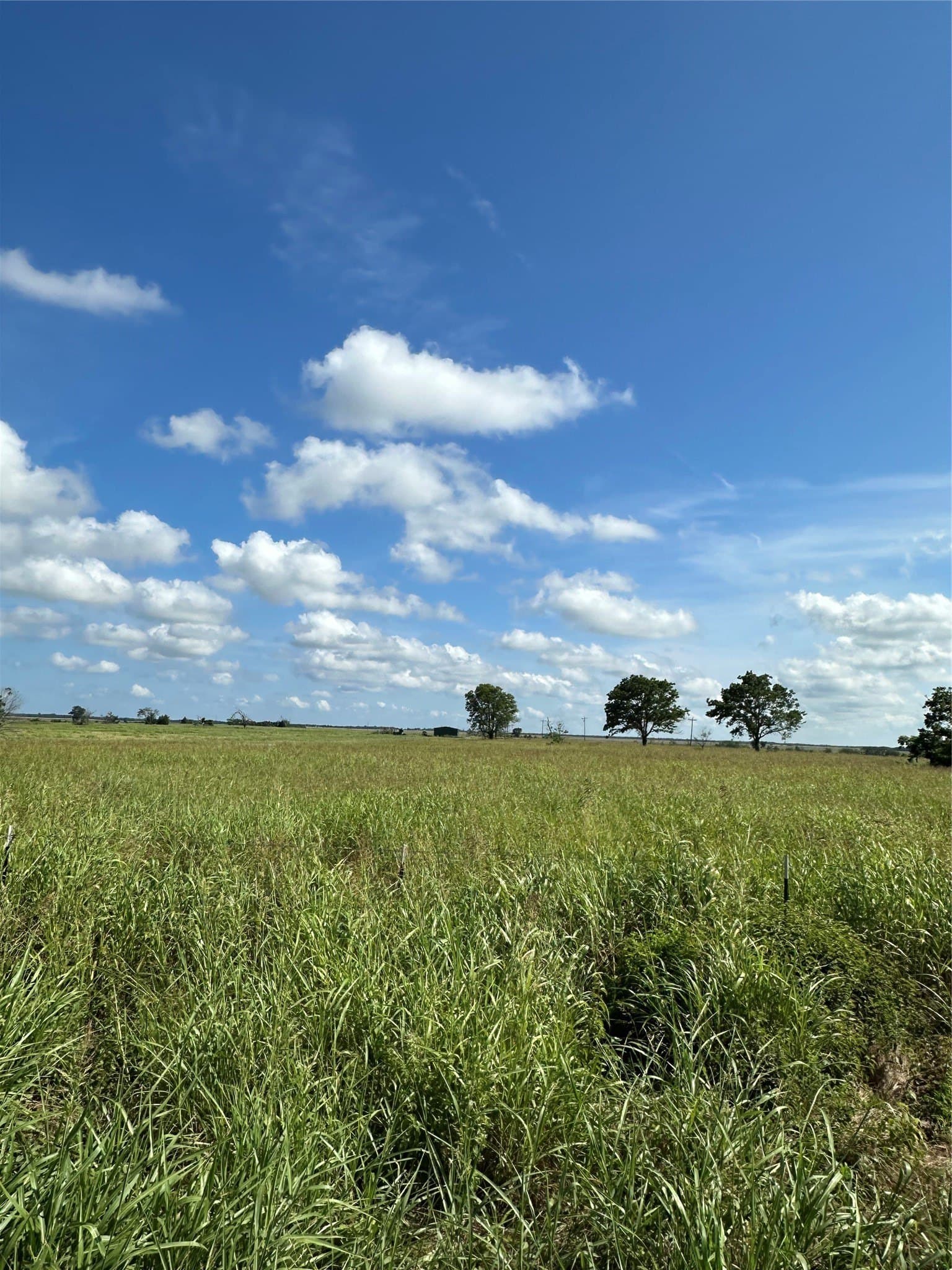 347.56 acres in Fannin County - photo 3