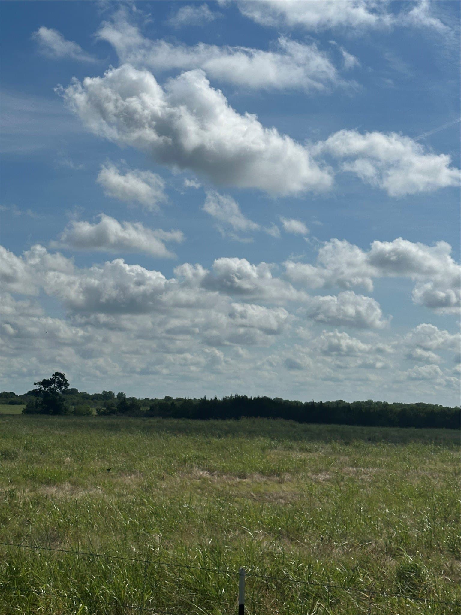 347.56 acres in Fannin County - photo 8