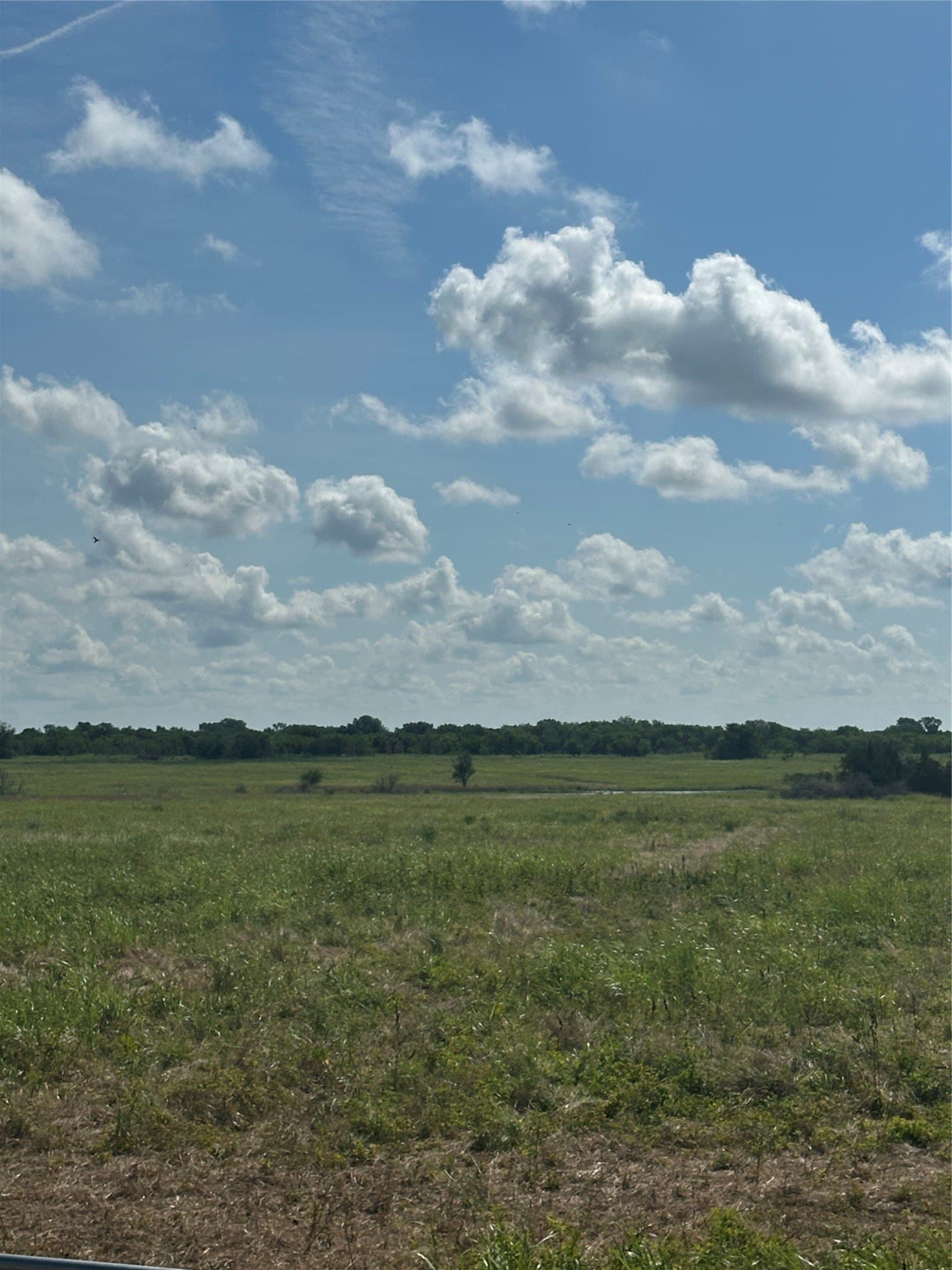 347.56 acres in Fannin County - photo 9